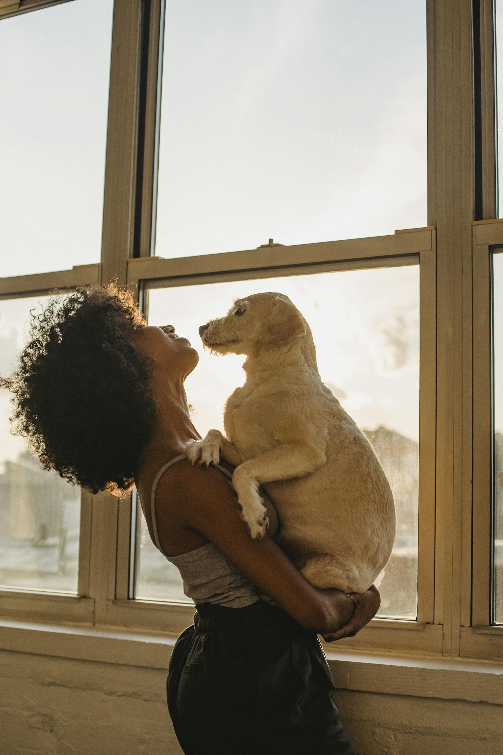 African American woman holding a dog near a window, embracing the joy of companionship during sunset.