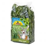 JR Farm Grüner Hafer 100g