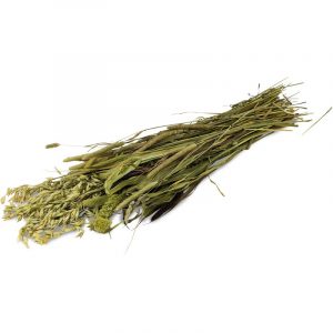 JR Farm ESN Wiesen-Ernte 80 g