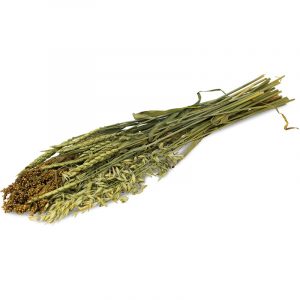 JR Farm ESN Sommer-Ernte 80 g