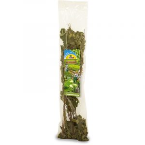 JR Farm ESN Haselnuss-Ernte 40g