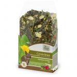 JR Farm Grainless Mix Degu 650 g