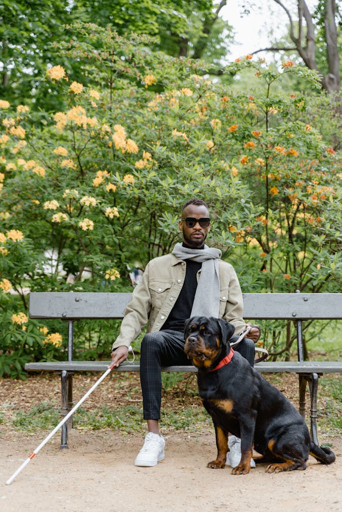 A blind man sits on a park bench with his guide dog by his side, amidst lush greenery.