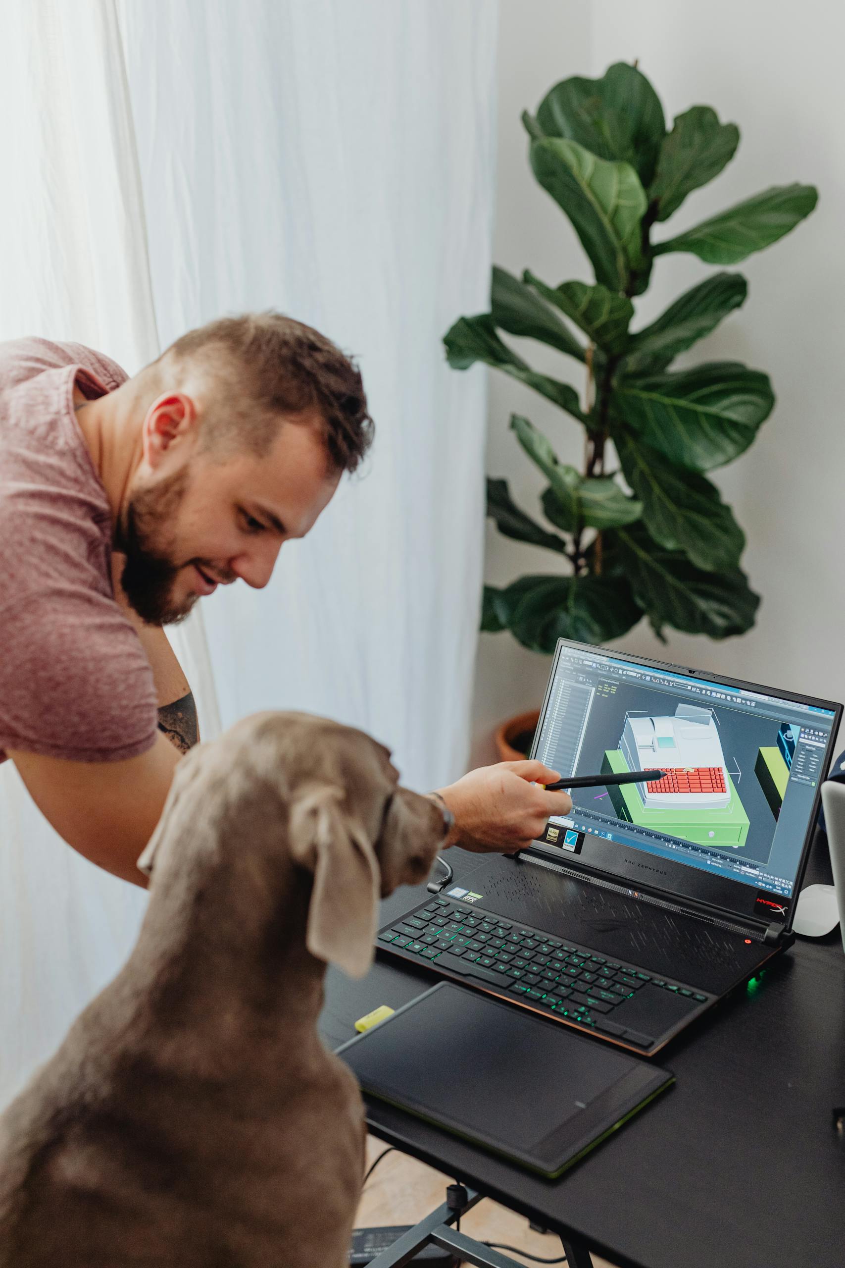 A man instructs a dog using a laptop in a home office with a potted plant nearby.