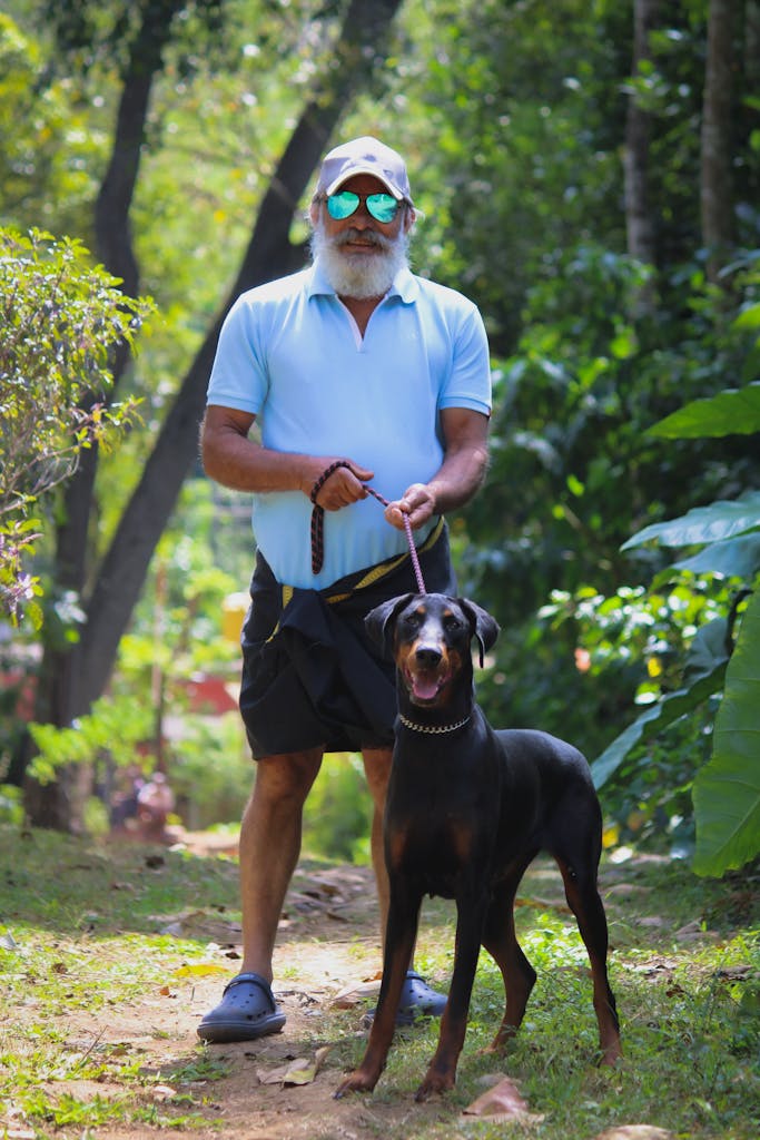 A senior man walking his Dobermann on a trail surrounded by greenery in a park.