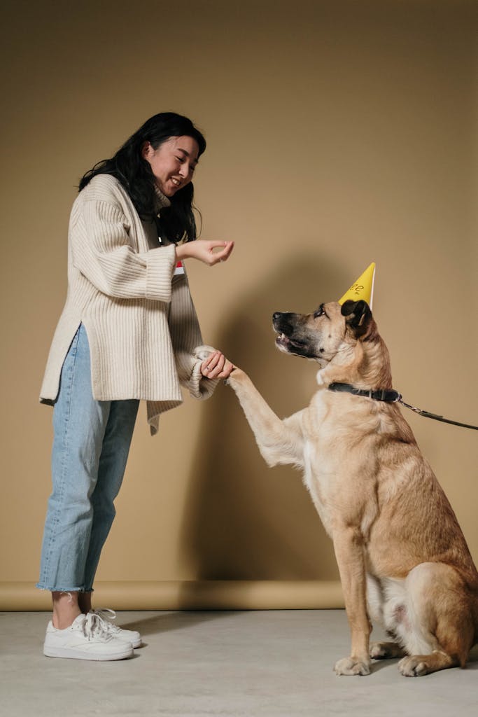 A woman joyfully trains her dog wearing a birthday hat in a studio setting.