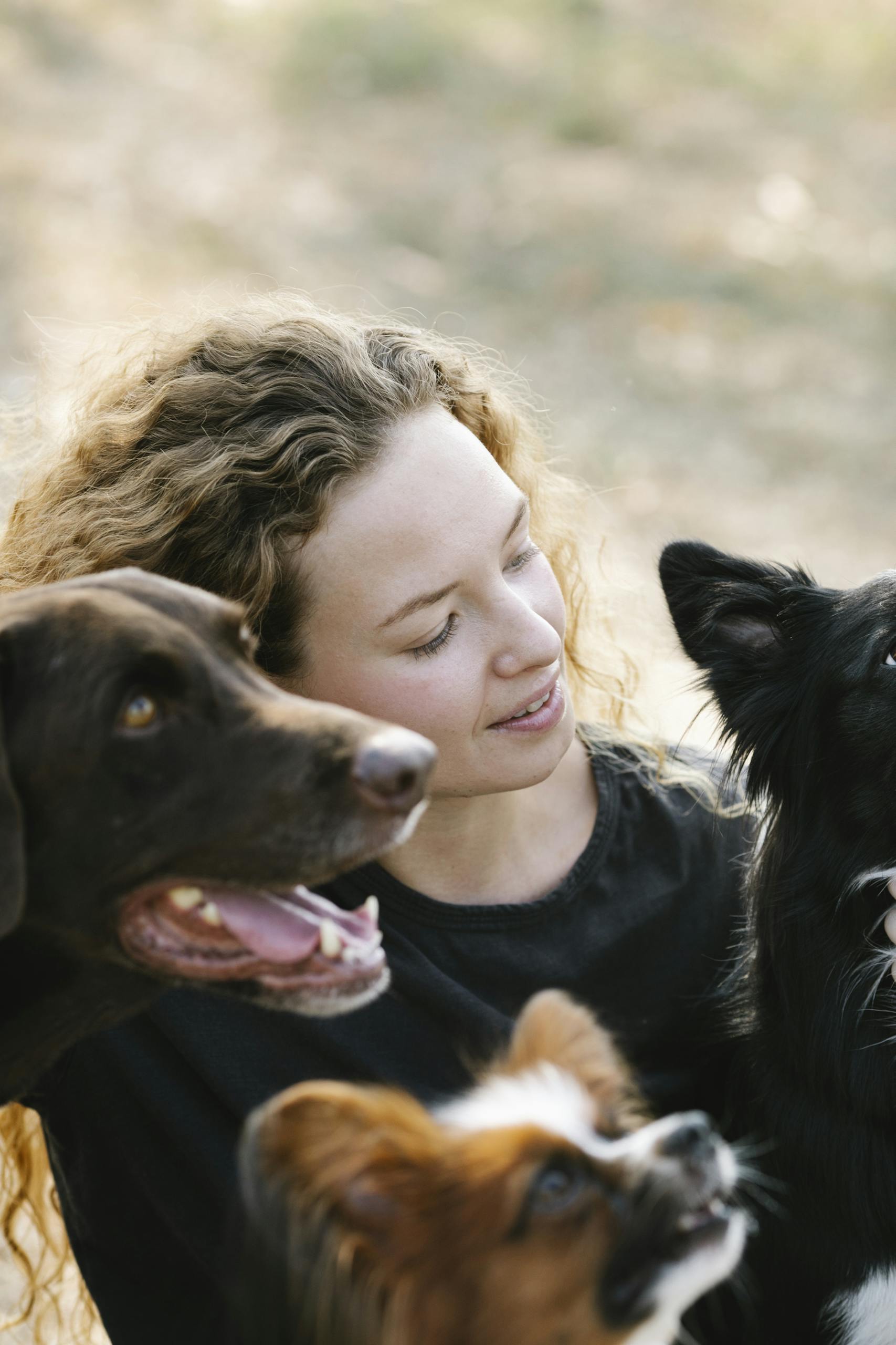 A woman with curly hair bonding with three different dog breeds outside.