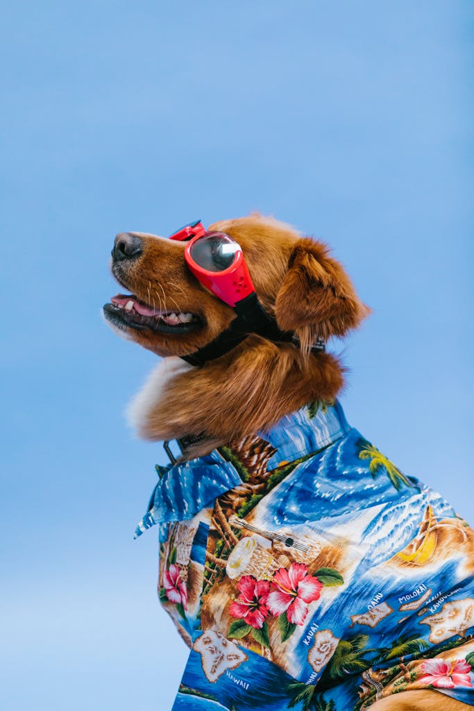 Adorable dog poses in Hawaiian shirt and red sunglasses against a clear blue sky.
