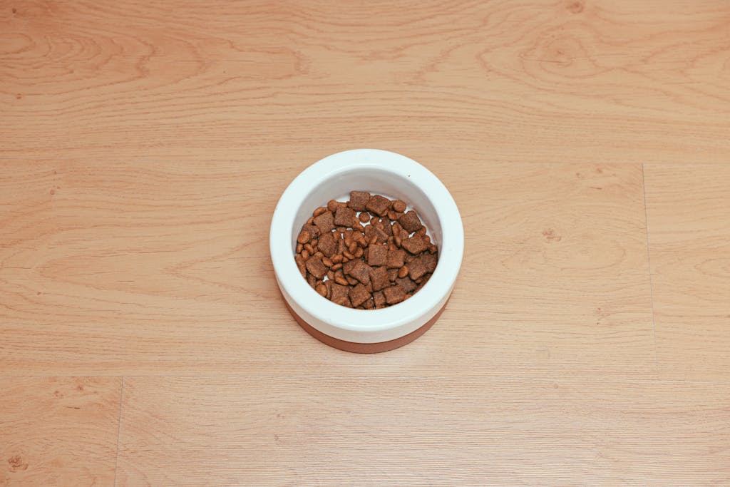 An overhead shot of dog food in a white bowl placed on a wooden floor, offering ample copy space.