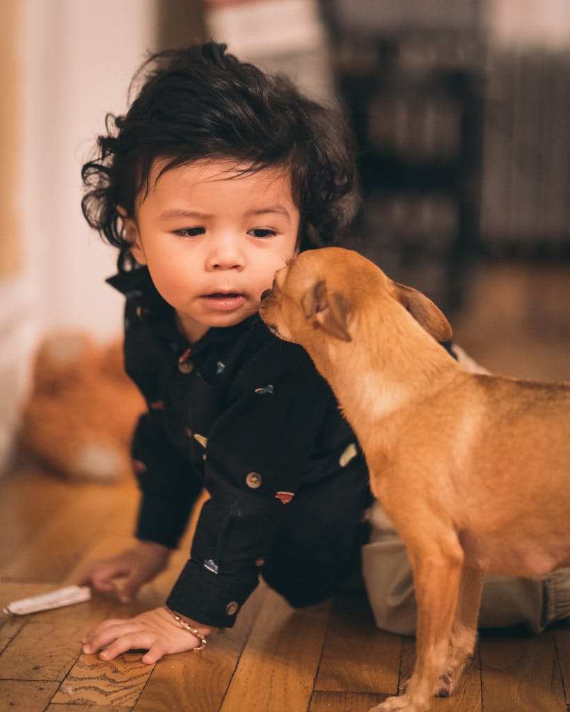 Charming image of a toddler interacting with a small dog on a wooden floor.