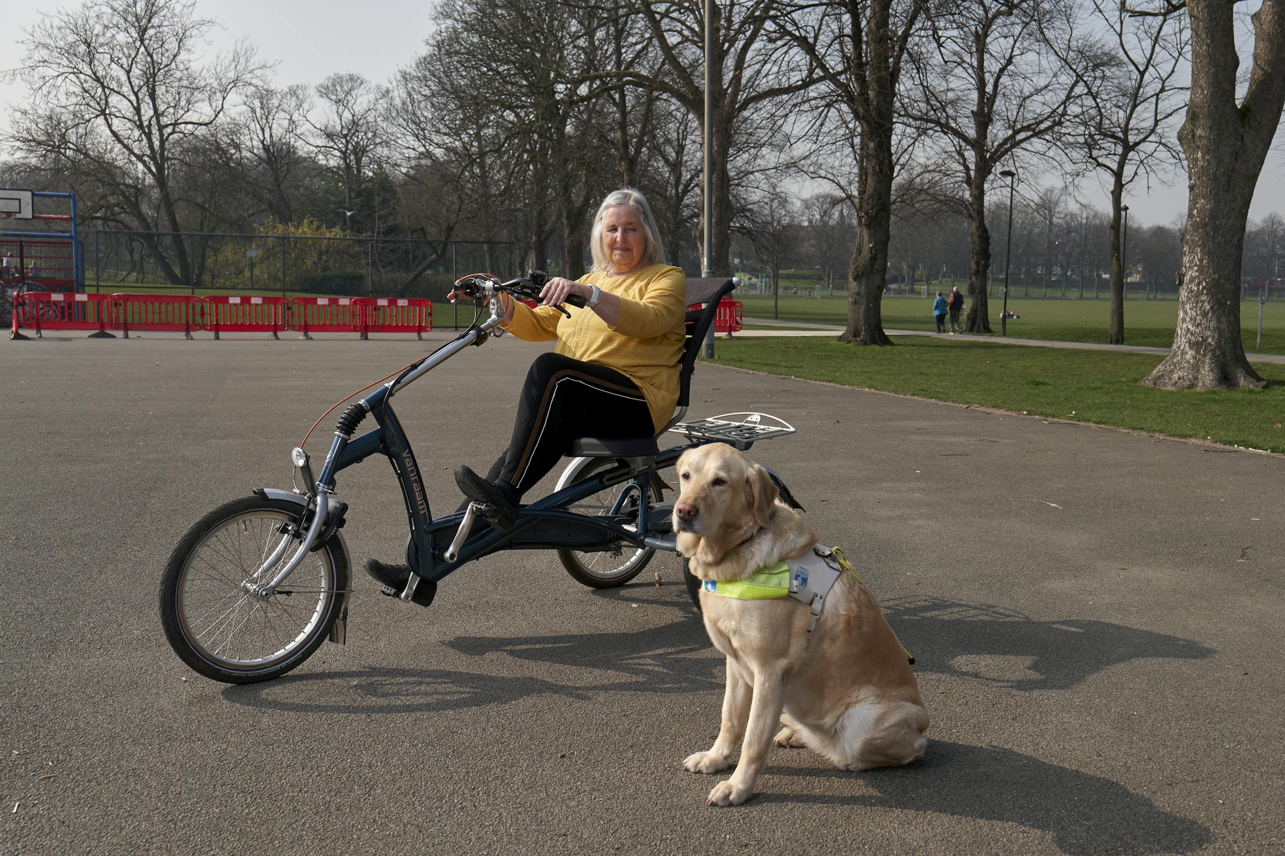 Elderly woman with guide dog on an adaptive bicycle in the park.
