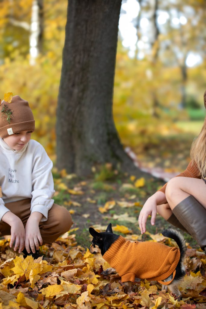 Kids wearing autumn clothes play with a dog in fall leaves, capturing a warm seasonal moment.
