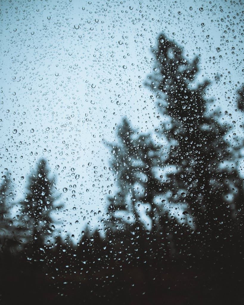 Raindrops on a window with pine tree silhouettes creating a serene and moody scene.