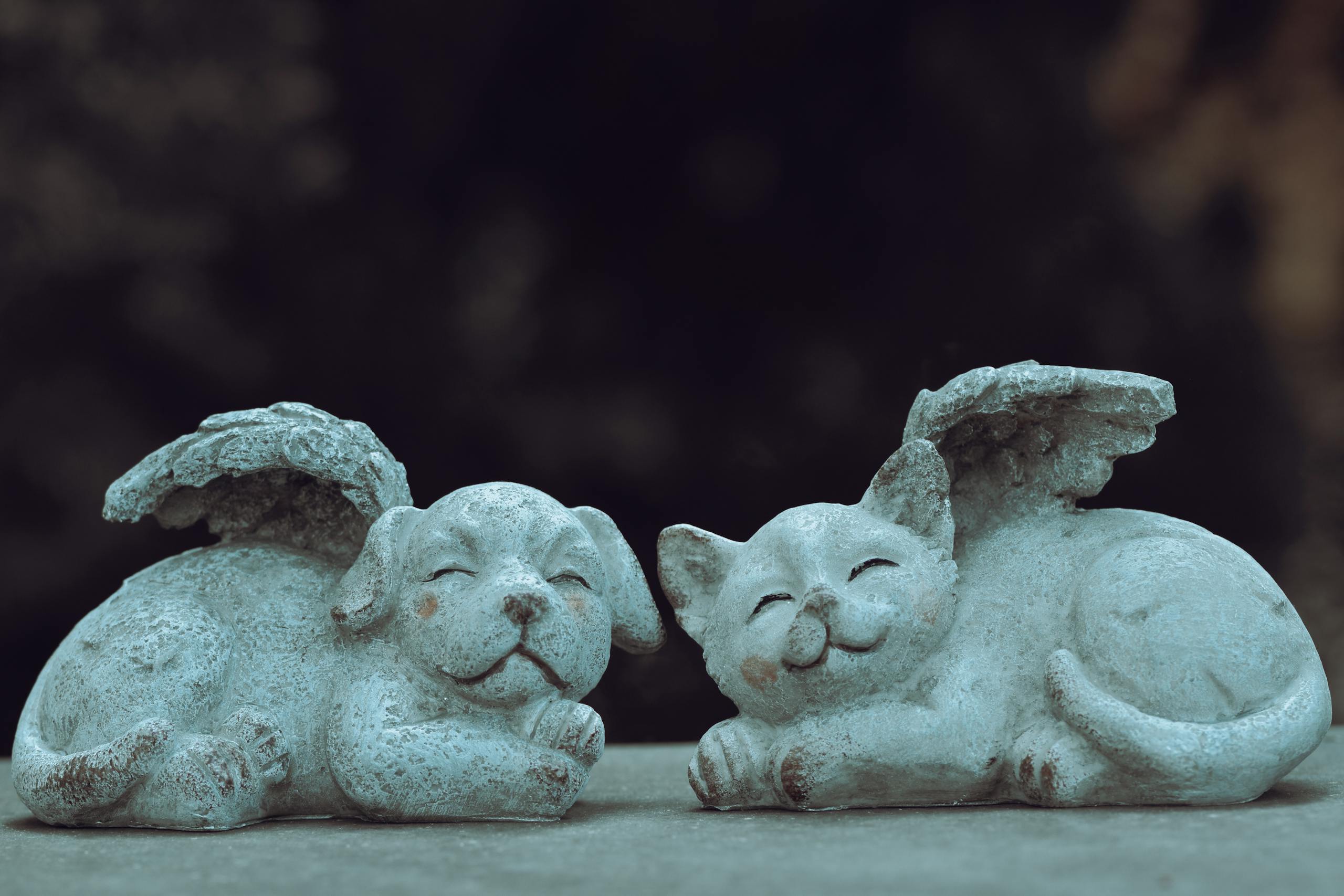 Stone cat and dog with wings add whimsical charm to any garden decor.