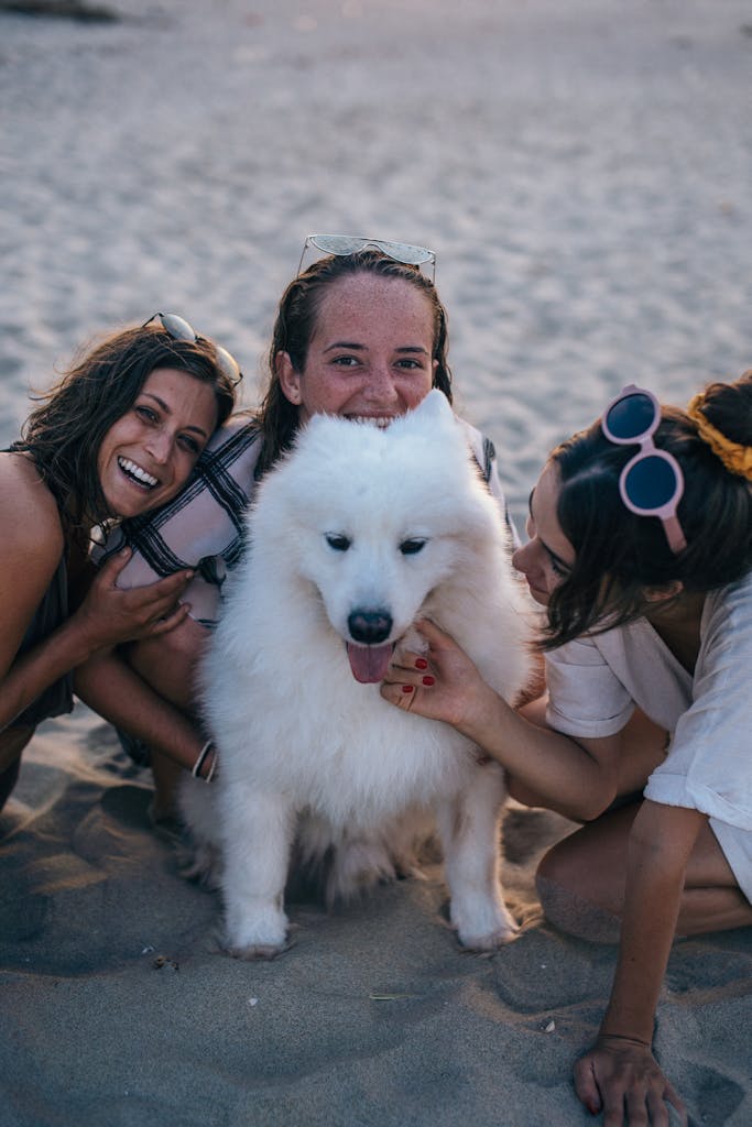 Three women share joyful moments with a Samoyed dog on a sandy beach at sunset.