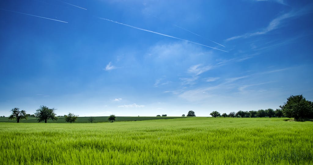 Tranquil rural landscape with lush green field and bright blue sky.