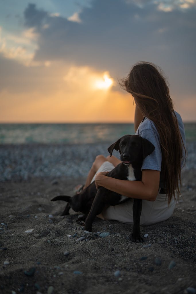 Woman sitting with dog on a pebble beach during sunset, creating a serene moment.